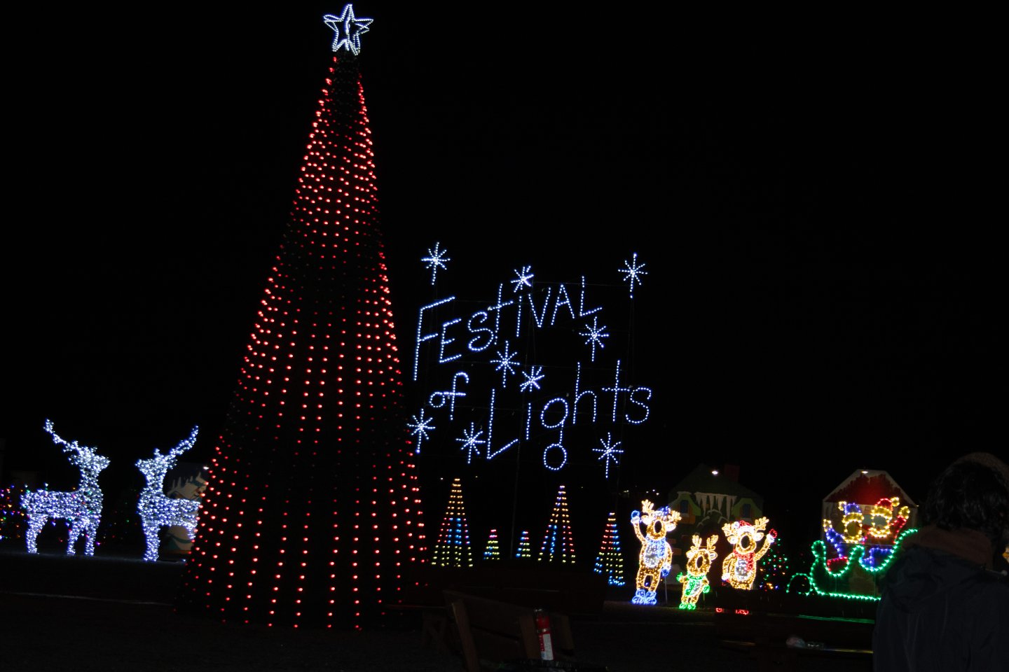 Large holiday tree and light display at night.