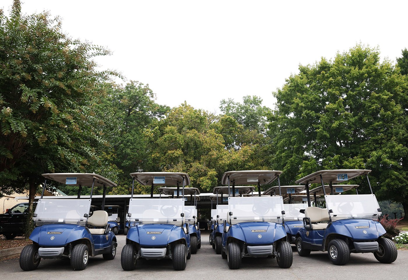 golf carts