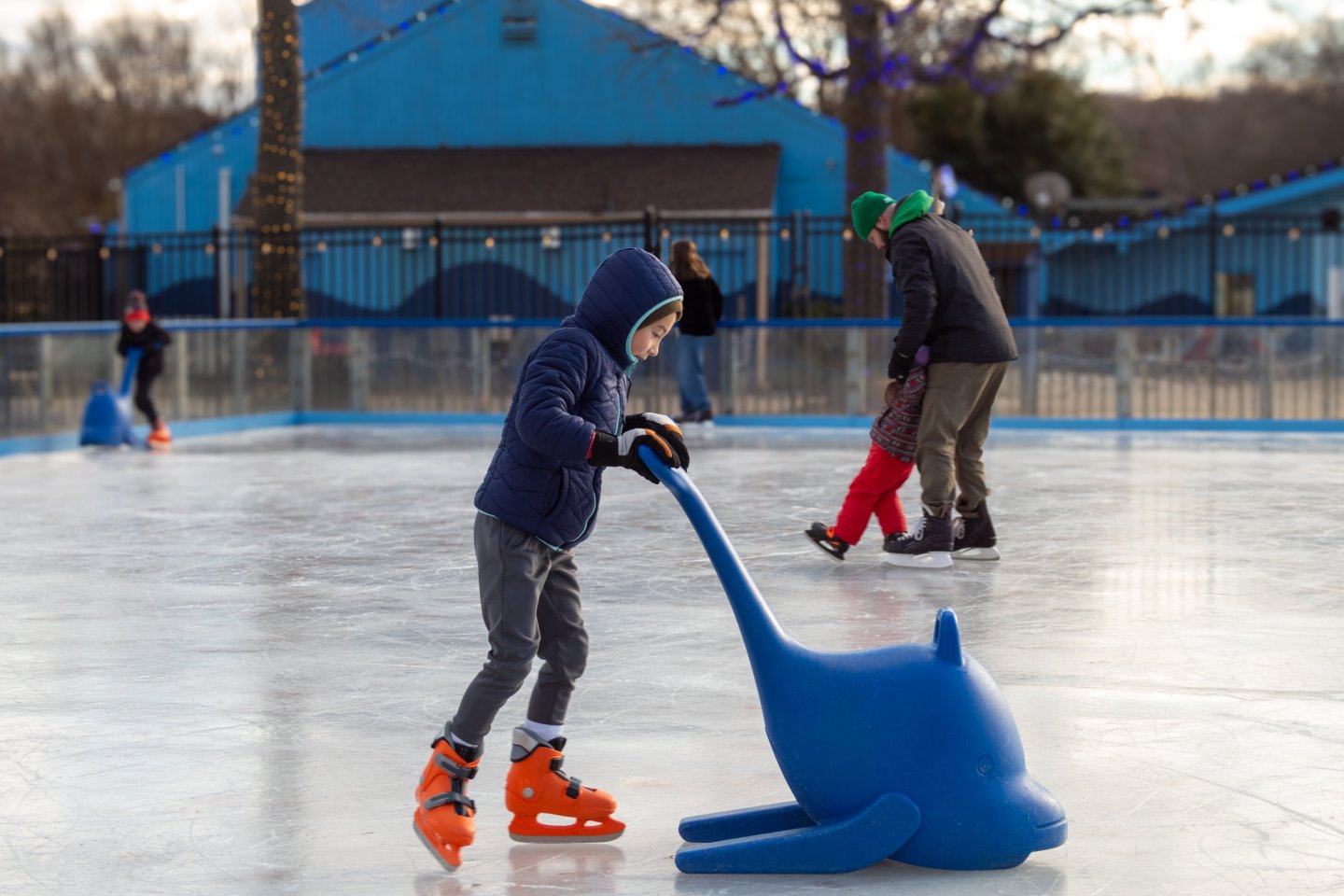 Ice Skating at Cameron Run