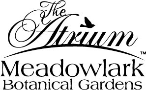 Apple logo in black on a white background.