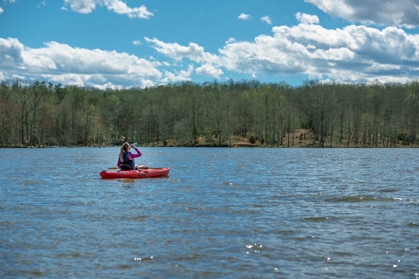 mostly water 2 mostly water 2