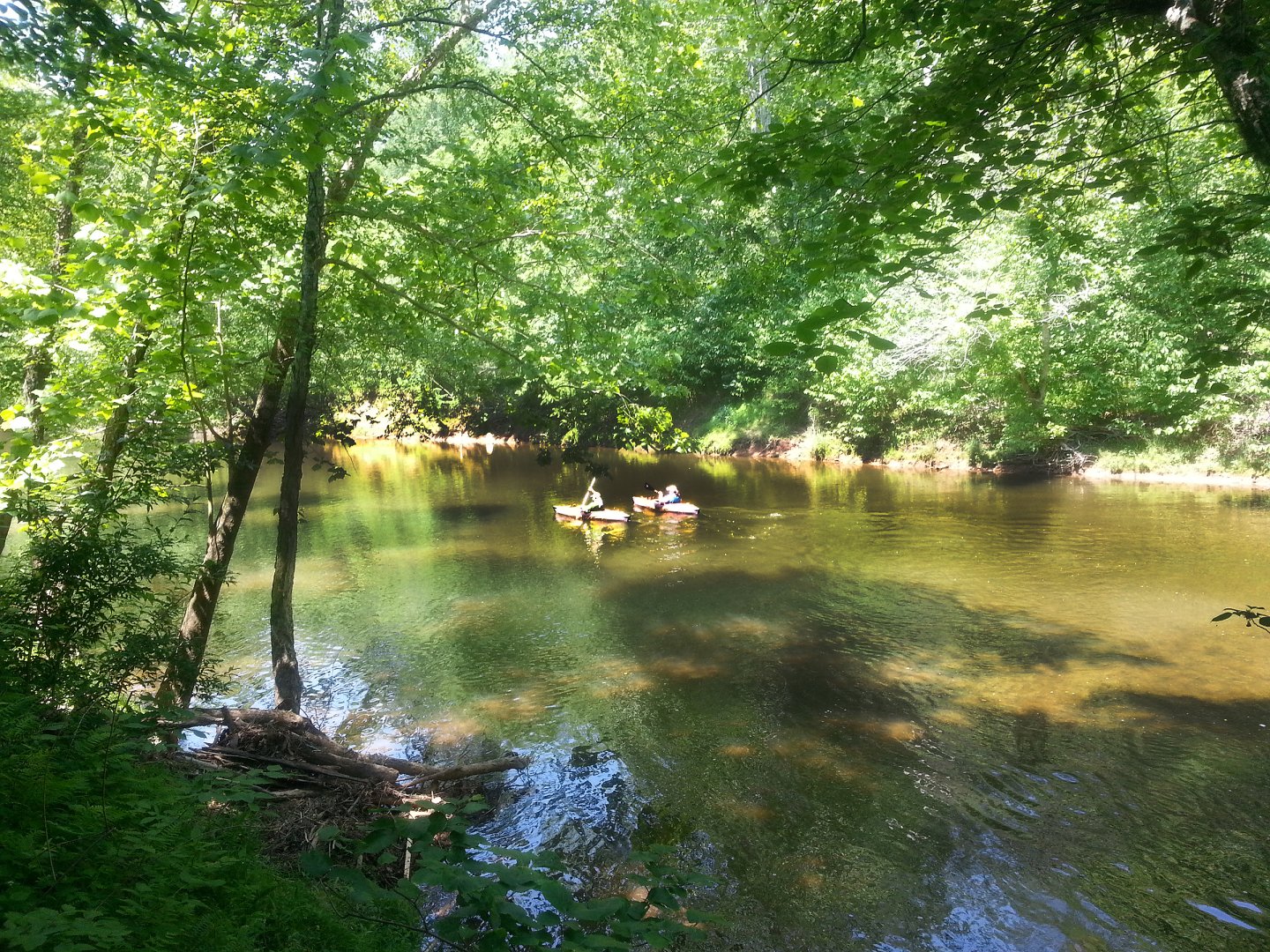 Bull Run Occoquan Trail  Nova Parks