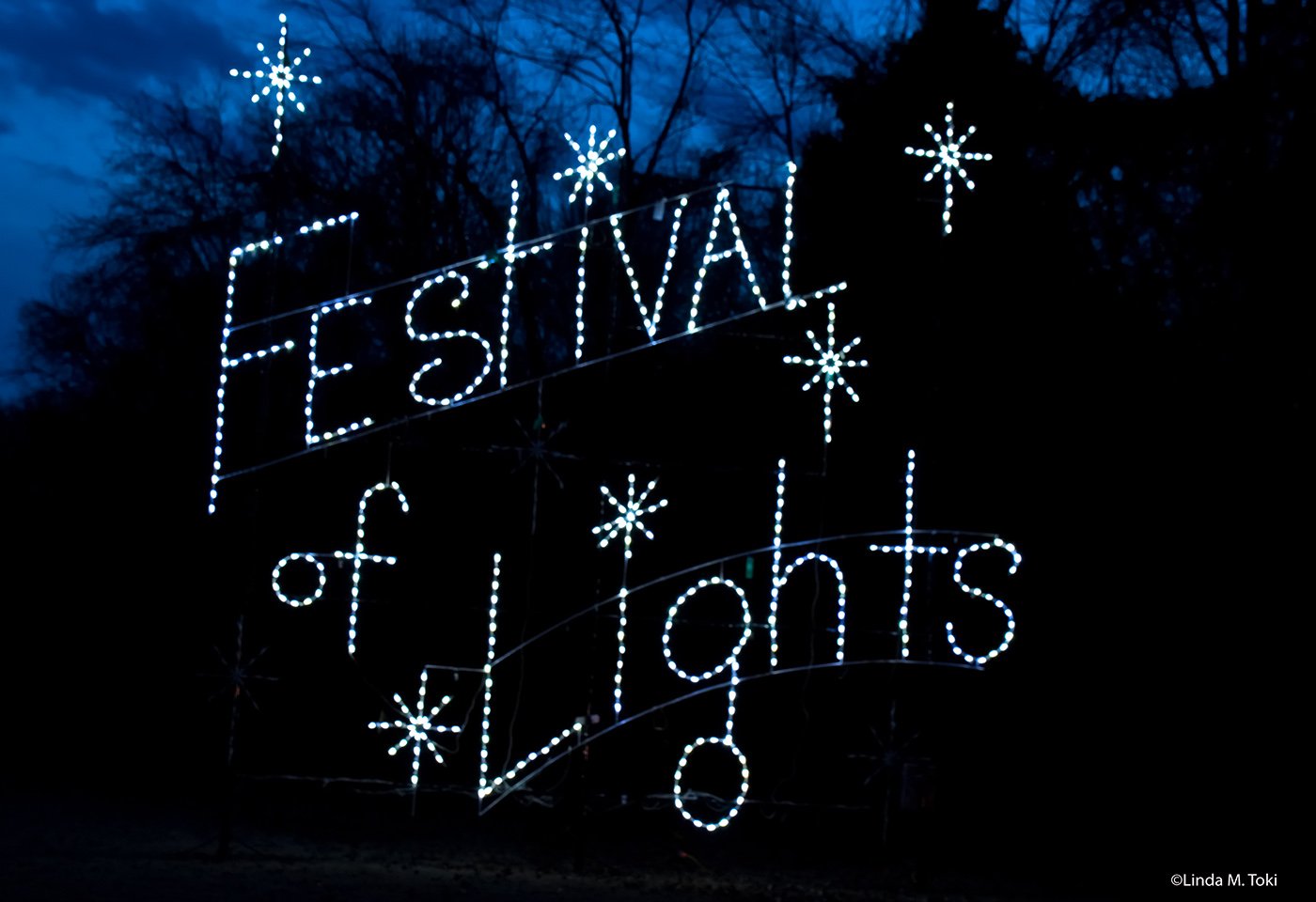 Bull Run Festival of Lights Nova Parks