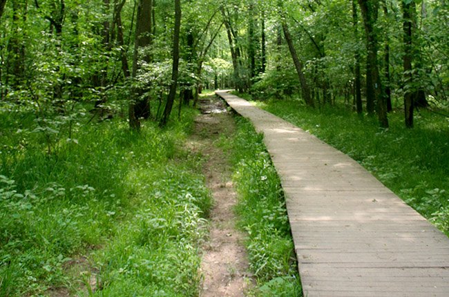 Bull Run Hiking Trail Bull Run Occoquan Trail Head At Bull Run | Nova Parks